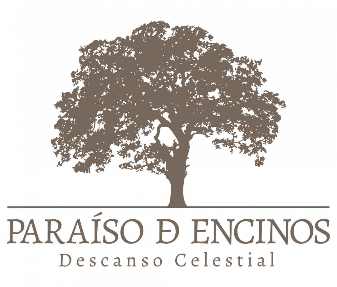 Logo Final Logo Final